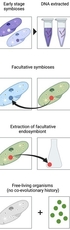 Fitness trade-offs and the origins of endosymbiosis