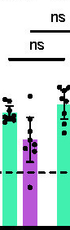 Broad-spectrum Delta-BA.2 tandem-fused heterodimer mRNA vaccine delivered by lipopolyplex