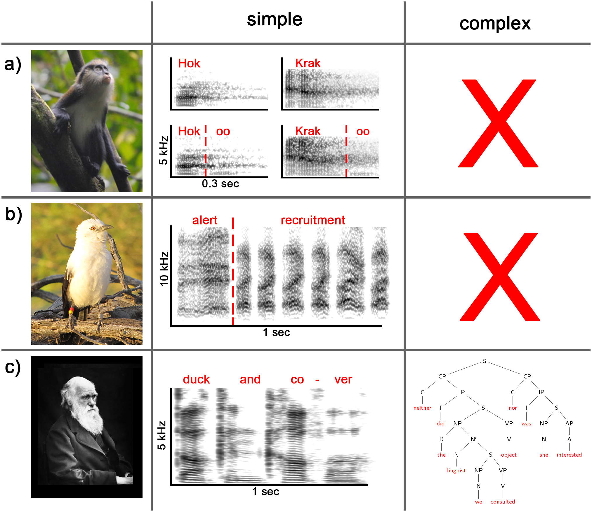 Compositionality in animals and humans | PLOS Biology