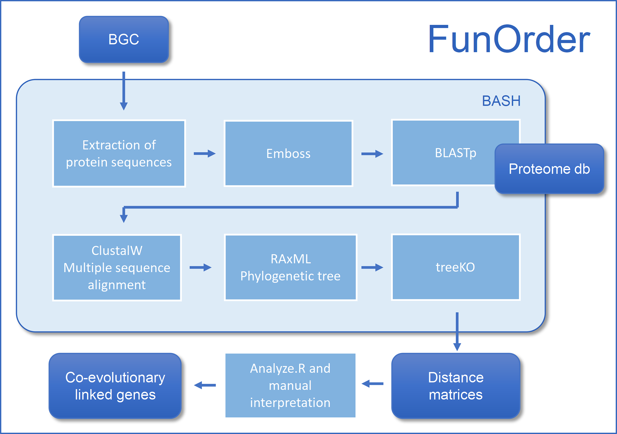 Funorder A Robust And Semi Automated Method For The Identification Of Essential Biosynthetic Genes Through Computational Molecular Co Evolution Plos Computational Biology