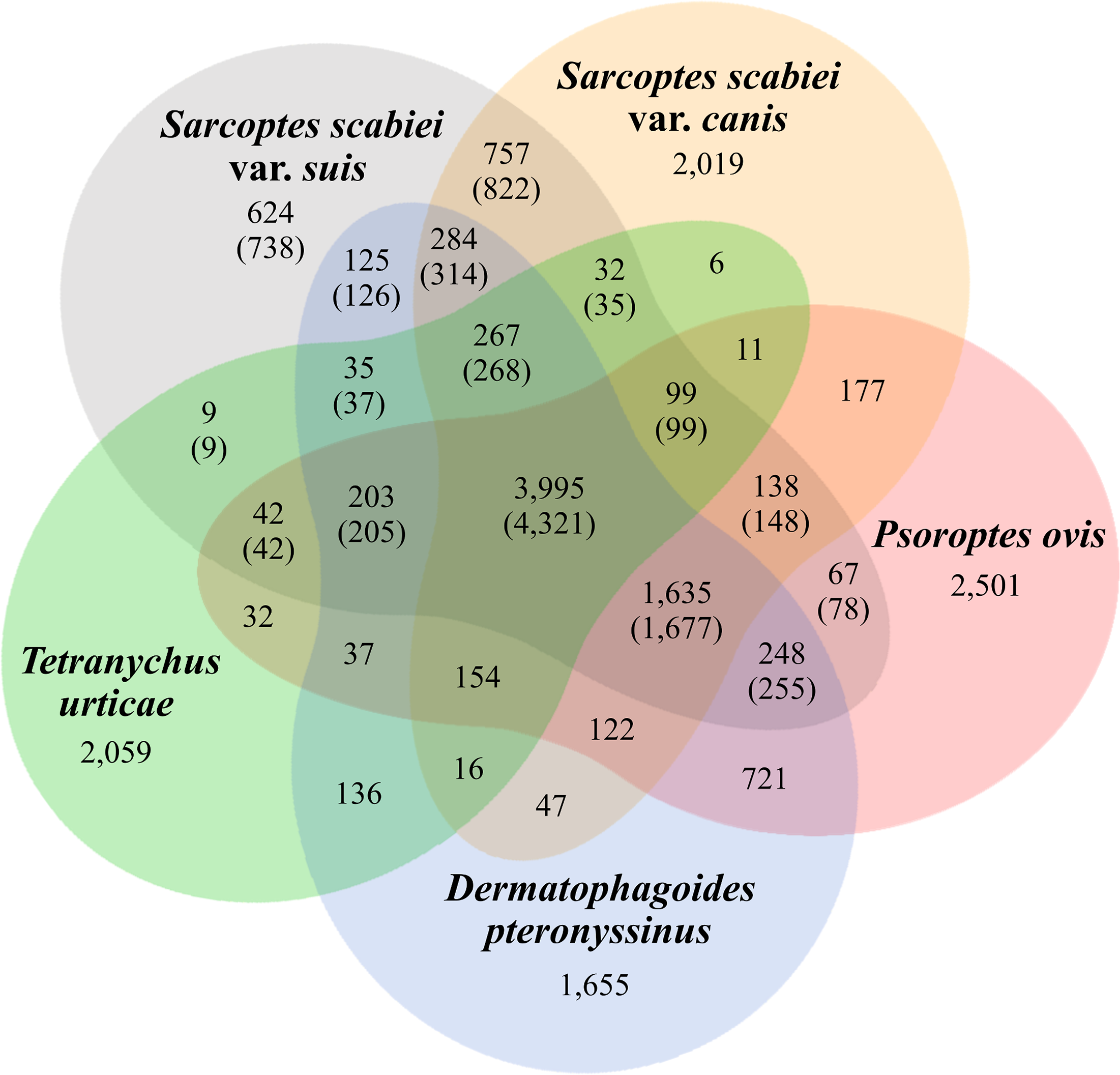 High Quality Nuclear Genome For Sarcoptes Scabiei A Critical Resource For A Neglected Parasite