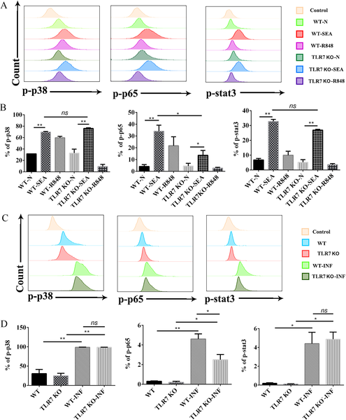 TLR7 modulating B-cell immune responses in the spleen of C57BL/6 mice  infected with Schistosoma japonicum | PLOS Neglected Tropical Diseases