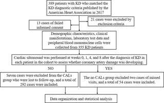 Clinical indicators combined with S100A12/TLR2 signaling molecules to establish a new scoring model for coronary artery lesions in Kawasaki disease