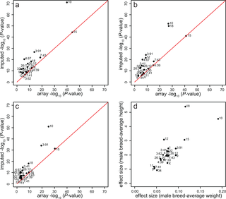 <h2>Scatter plots showing <i>P</i>-values and effect sizes for array vs imputed GWAS body size results.</h2>