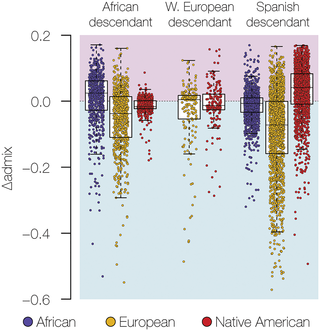 Sex-biased admixture in US genetic ancestry groups.