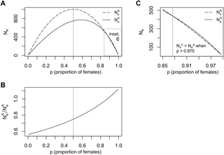 <h2>Effective population size and sex-bias.</h2>