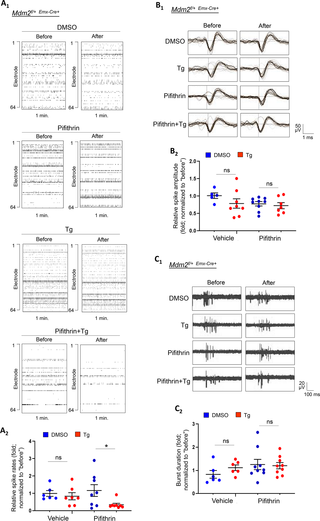Inhibition of p53 restores aberrant neural network activity during the early phase of ER stress in <i>Mdm2</i><sup><i>f/+-Emx1</i>-Cre+</sup> cortical neuron cultures.
