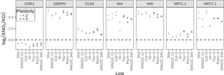 <h2>Expression of nitrate-responsive genes in low and high plasticity genotypes.</h2>
