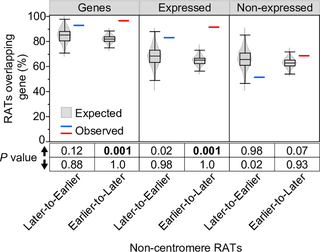 Permutation analysis of the percentage overlap of non-CEN RATs and genes.