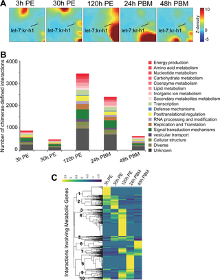 Massive and dynamic miRNA-target interactions in mosquito reproduction.