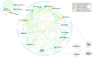 Network of endophenotypes and associated loci.