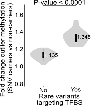 Mutations within TFBS are associated with larger effects on local DNA methylation.