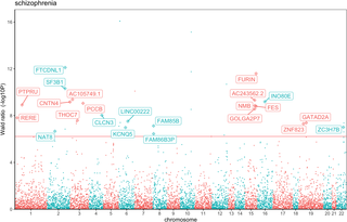 Manhattan plot showing the MR relationships between gene expression changes and schizophrenia risk.