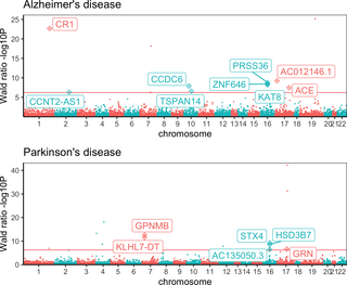 Manhattan plots showing the MR relationships between gene expression changes and Alzheimer’s disease and Parkinson’s disease outcomes.