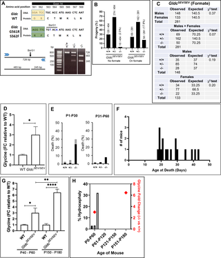 Validation of a highly pathogenic mutation in a severe mouse model of NKH.