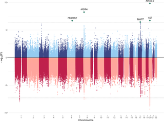 Mirrored Manhattan plot for TWAS and GWAS results.
