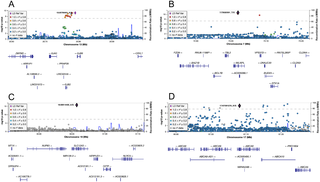 LocusZoom for genome-wide significant (<i>P</i> < 5 × 10<sup>−8</sup>) replicated gene-fish oil interaction loci.