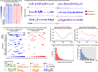 Genes associated with androgen-induced decrease in H3K27me3 mark in the gene body and overlapping with promoters and distal enhancers involving long-range regulation of gene expression.