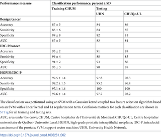 Classification performance when distinguishing benign prostate tissue, prostate cancer, IDC-P, and HGPIN in training and testing cohorts.
