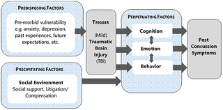 Factors influencing the development of post-concussion symptoms after TBI [<em class="ref">2</em>].