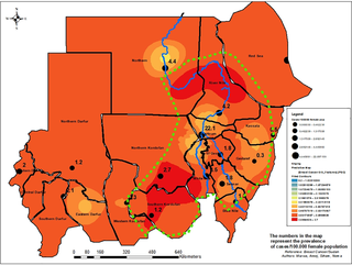 <h2>Breast Cancer risk map in Sudan (n = 1135).</h2>