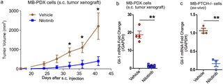 <h2>Nilotinib reduces tumor growth and Gli-1 mRNA expression <i>in-vivo</i>.</h2>