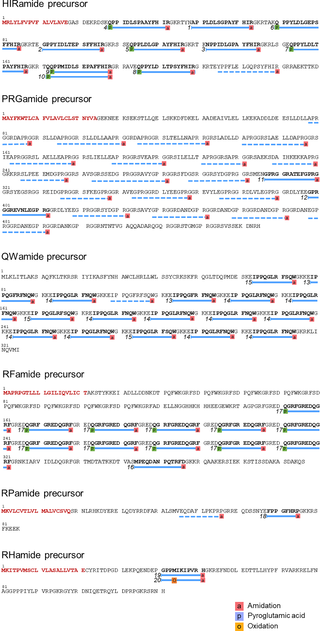 Primary structures of neuropeptide precursor proteins.