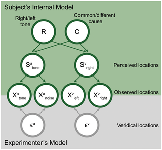 <h2>Graphical depiction of our model schematic.</h2>