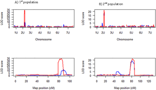 <h2>Chromosome and logarithm of odds (LOD) profile of stem resistance QTL detected for races TTTTF and TTKSK in two the <i>Ae</i>. <i>umbellulata</i> F<sub>2:3</sub> populations.</h2>