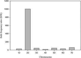 <h2>Distribution of SNPs with bulk frequency ratio higher than 4 on <i>Ae</i>. <i>tauschii</i> chromosomes.</h2>