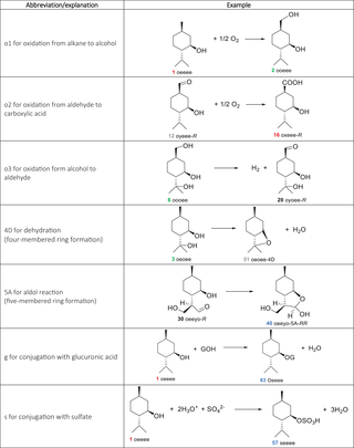 Abbreviation system for reactions of menthol metabolites in this study.