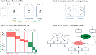 <h2>Summary of SEM-based modeling procedures for genomic data.</h2>