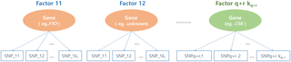 <h2>Conceptual framework for exploratory factor analysis.</h2>