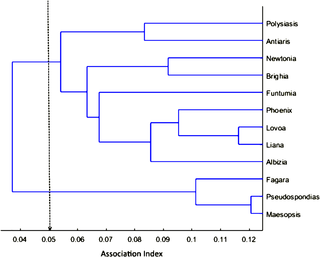 Dendrogram of core unit clusters obtained with hierarchical cluster analyses based on average linkage.
