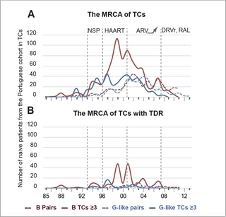 Number of naïve patients in transmission clusters of the PT-naïve cohort vs time of origin (i.e. most recent common ancestor- MRCA) of those TCs.