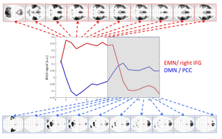 <h2>fMRI BOLD activity split for time-bins.</h2>