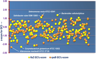 A scatter plot depicting the distribution of z-score for the GC3 of <i>ftsZ</i> and <i>rpoB</i> CDS of all the bacterial species included in this study.
