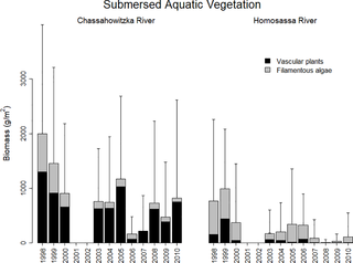 Long-term mean vegetation biomass estimates at the Chassahowitzka and Homosassa rivers, Florida.