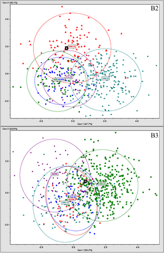 <h2>Ancestry estimations for YNH4 individual B2 (top) and B3 (bottom).</h2>