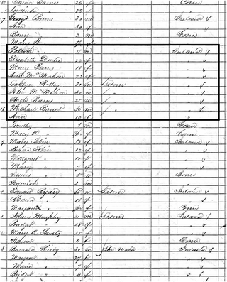 <h2>1850 New Haven Census and Country of Origin.</h2>