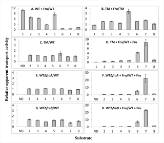 Ratios of apparent transport activities for various sugars (PTS substrates and galactose) by wild type <i>E</i>. <i>coli</i> BW25113 (WT) and its <i>fruBKA</i> isogenic mutants (BW25113Δ<i>fruA</i>, BW25113Δ<i>fruB</i> and BW25113<i>-fruBKA</i>:<i>kn</i> (triple mutant, TM)) using cells grown in LB with (WT or mutant + Fru) and without 0.2% fructose.
