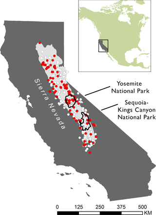 <h2>Spatial distribution of 1165 amphibian museum specimens tested for <i>Bd-</i>infection collected between 1900–2005 in the Sierra Nevada.</h2>