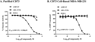 Selectivity of various inhibitors against soluble CD73 and membrane bound CD73 enzyme using assay protocol for purified and cell-based assays.