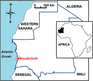 <h2>Study site for the investigation of G6PD deficiency in Mauritania (red box).</h2>