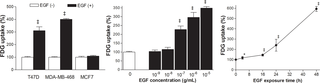 <h2>EGF dose- and time-dependently stimulates glucose uptake in T47D cells.</h2>
