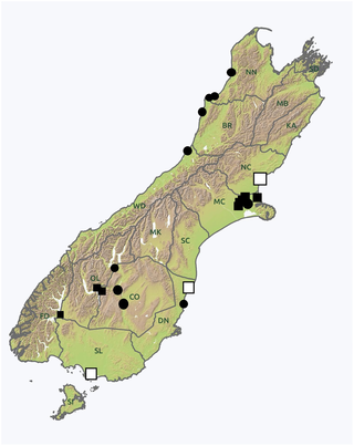 <h2>Map of the South Island of New Zealand, showing the 21 locations from which psyllids could be collected.</h2>
