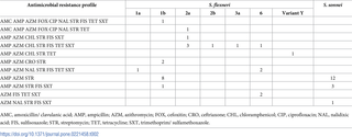 DSA <i>S</i>. <i>flexneri</i> and <i>S</i>. <i>sonnei</i> antimicrobial resistance profiles.