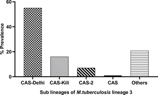 <h2>Sub-lineages of <i>M</i>. <i>tuberculosis</i> lineage 3.</h2>