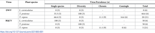 <h2>Summary table showing the prevalence of deformed wing virus (DWV) and black queen cell virus (BQCV) on three plant species across all foraging trials where both honey bees and bumble bees foraged.</h2>