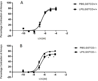 <h2>Dose response of airways to Methacholine shows a decreased contractility in <i>GSTCD</i><sup>-/-</sup> mouse lungs following LPS treatment.</h2>